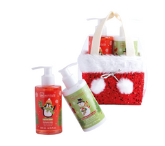 Cos produse de ingrijire Christmas Care, IDC Institute