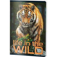 aro Caiet Capsat Dictando A4 60File